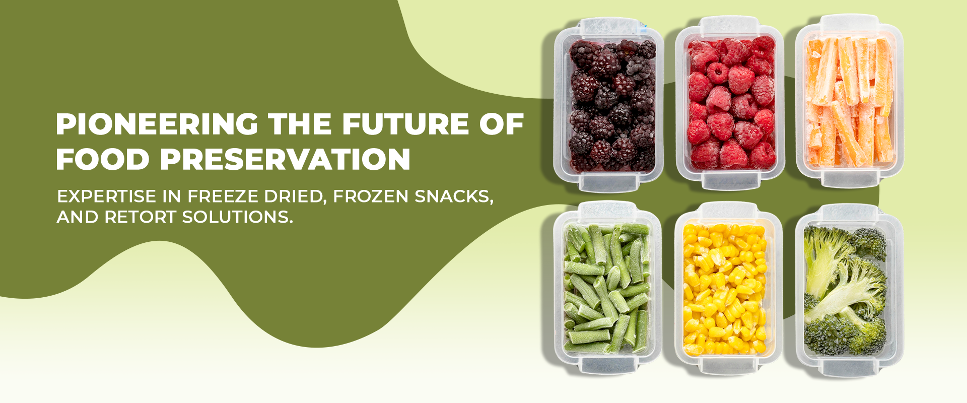 Freeze Dried Fruits and Vegetables for Food Preservation – Unique Agro Foods