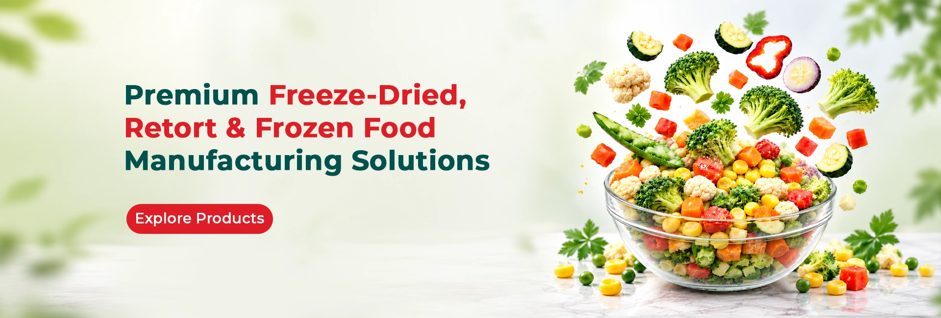Premium Freeze-Dried, Retort & Frozen Food Manufacturing Solutions